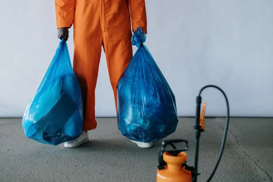 Spray foam removal near me in Carlisle, Cumbria